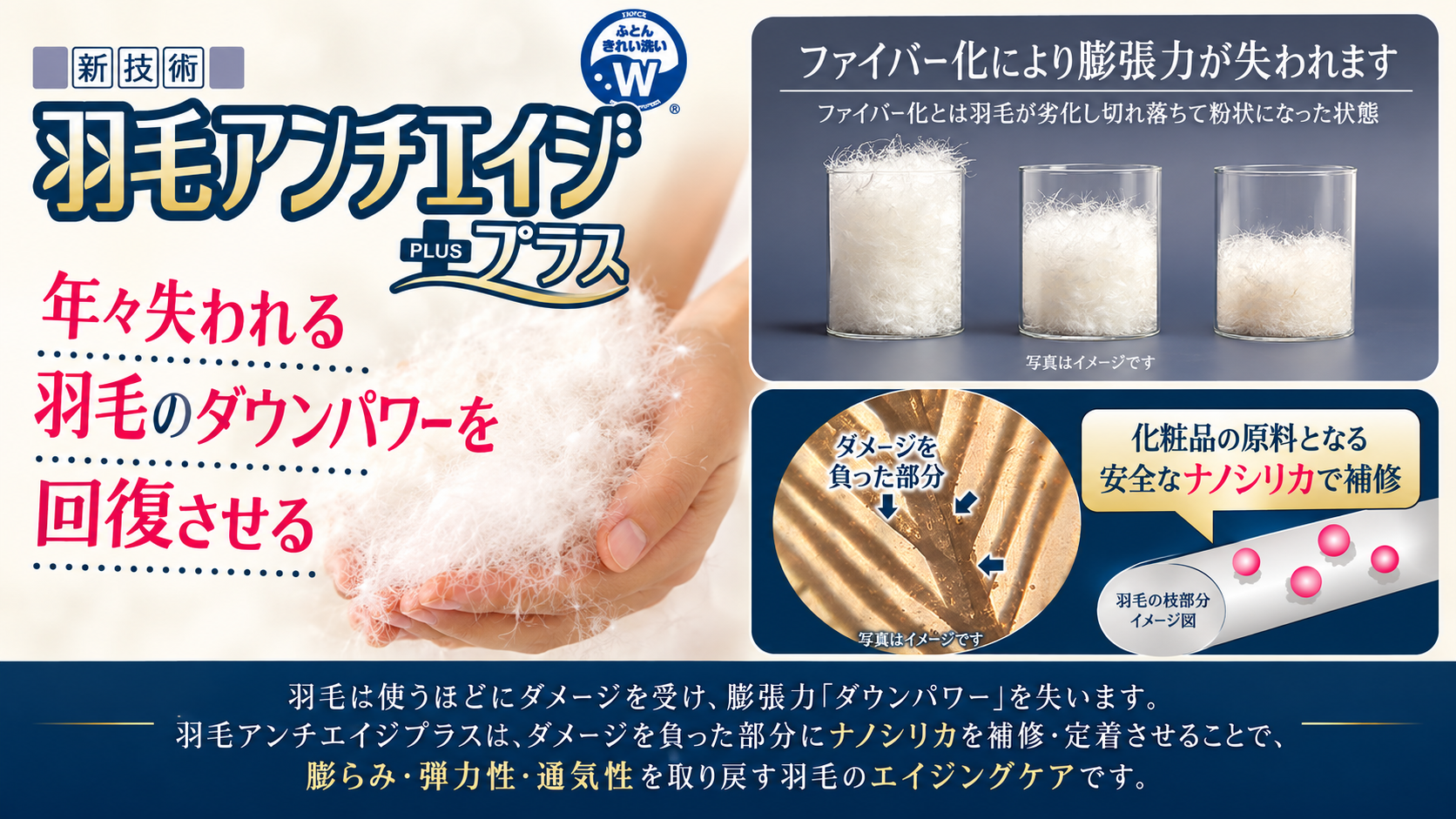 羽毛アンチエイジPLUSの仕組みを説明した資料